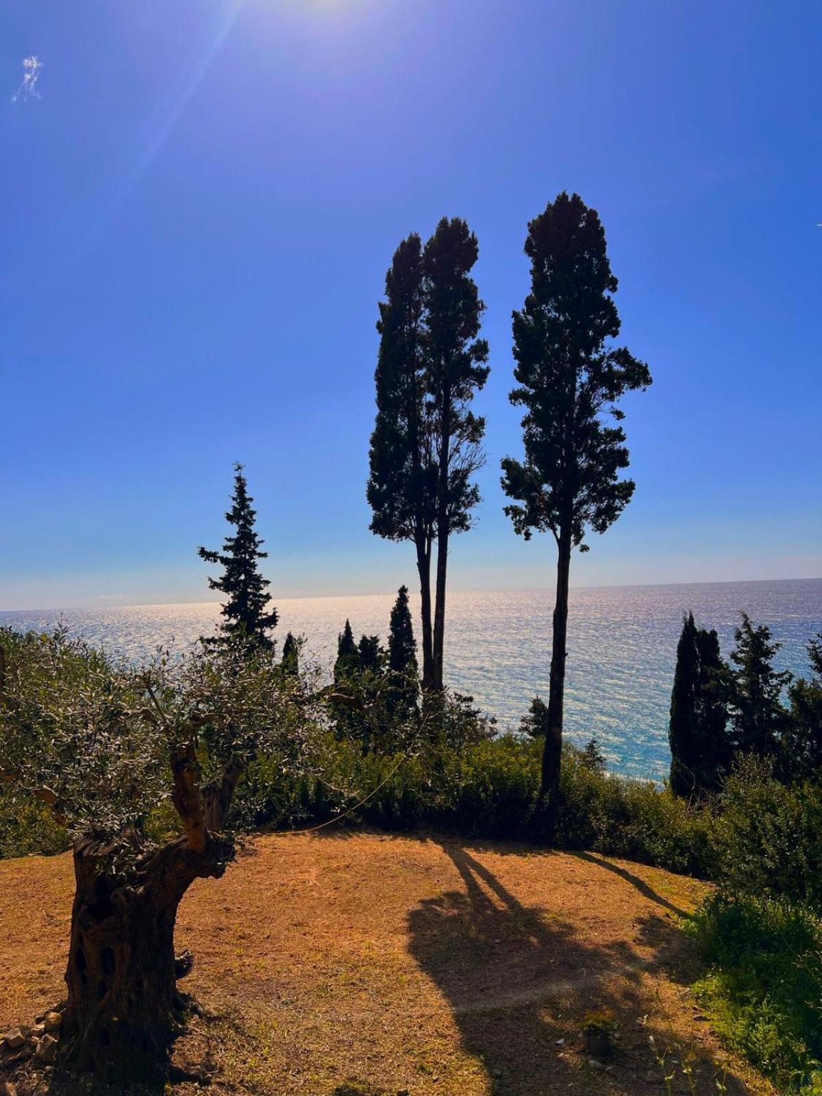 Stefanos By Sv Alians Agios Gordios (Corfu)